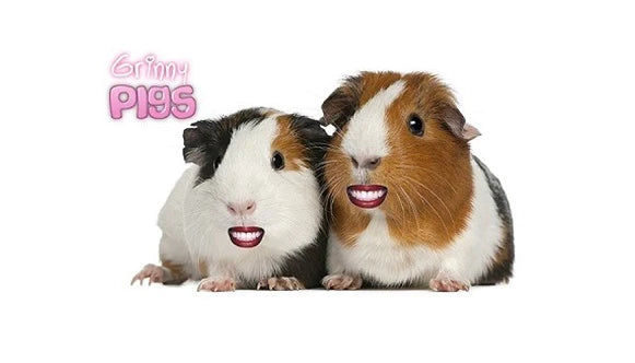 Grinny Pigs Homemade Accessories Gift Cards