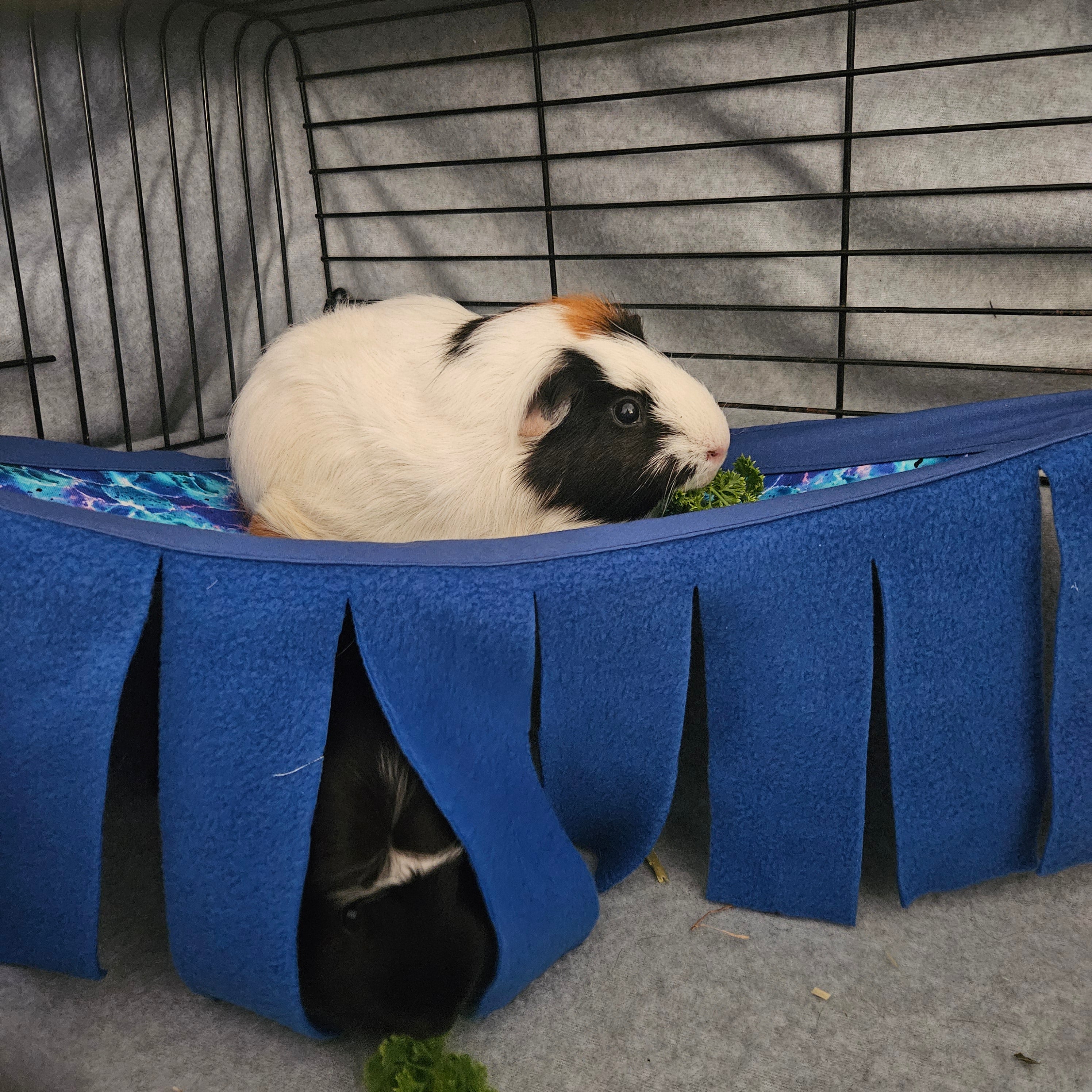 Guinea Pig Bedding, Hiddies, Mats and Hay Bags – Grinny Pigs Homemade ...