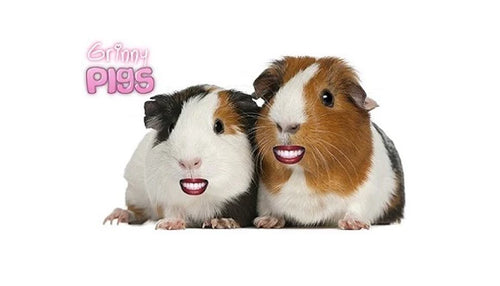 Grinny Pigs Homemade Accessories