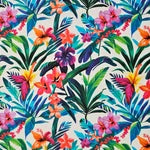 Cotton - Tropical